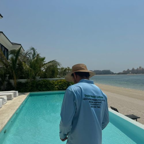 swimming-pool-cleaning-and-maintenance